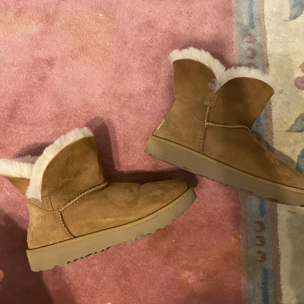 Chesnut uggs